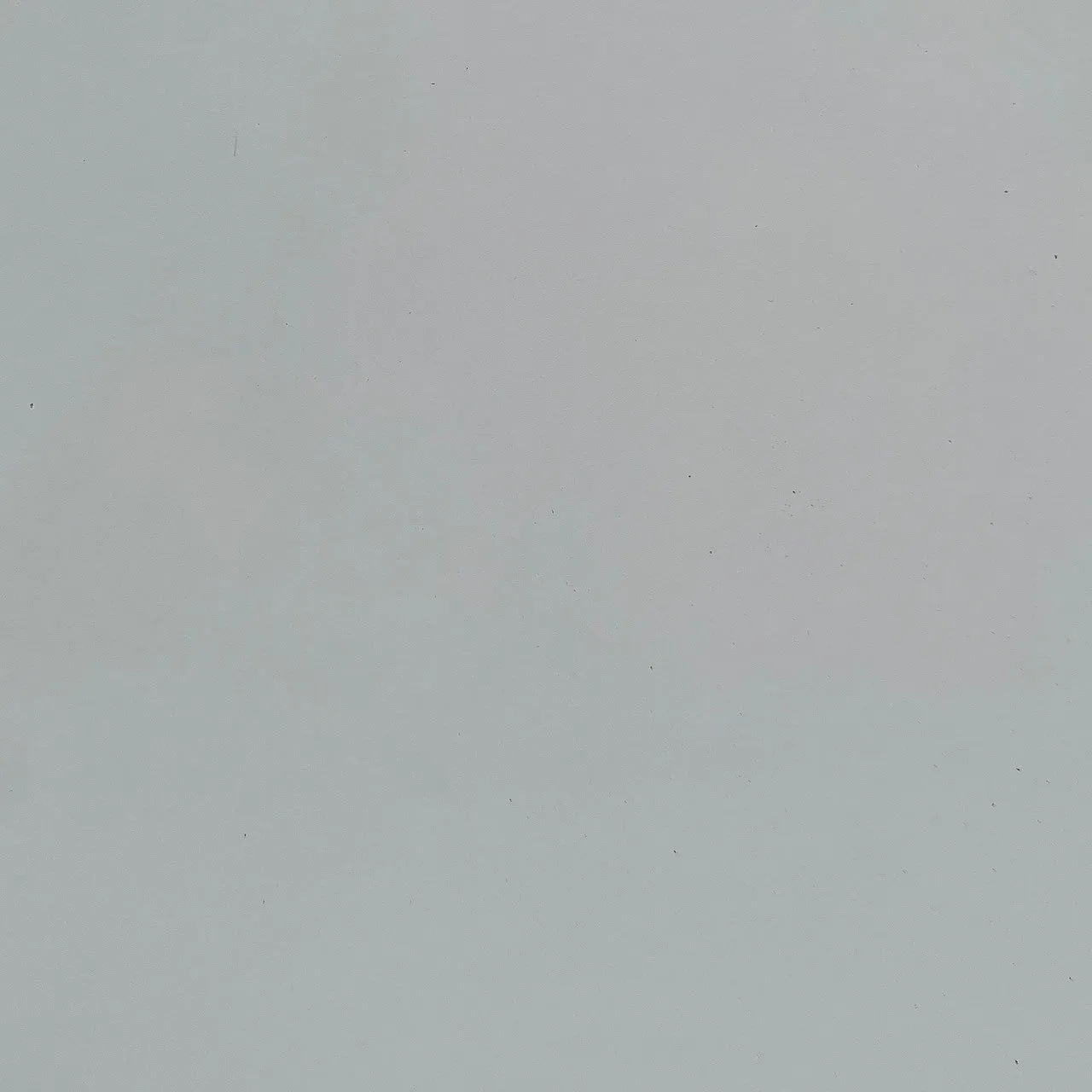 Alaska Buffalo LW Belting | White | 3.0mm | 8 sq.ft | From $140 ea.