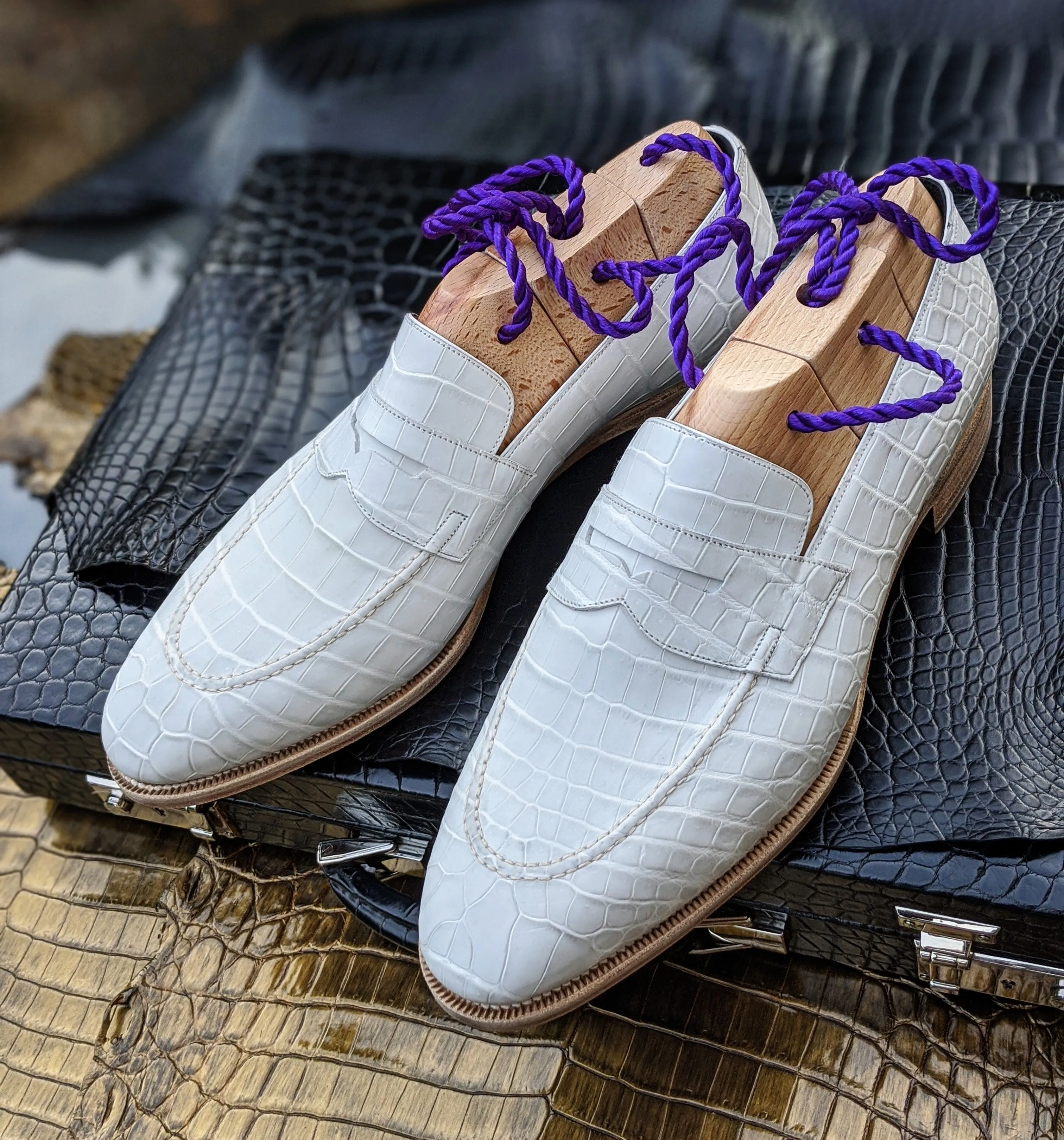 Ascot Sinatra - White Alligator