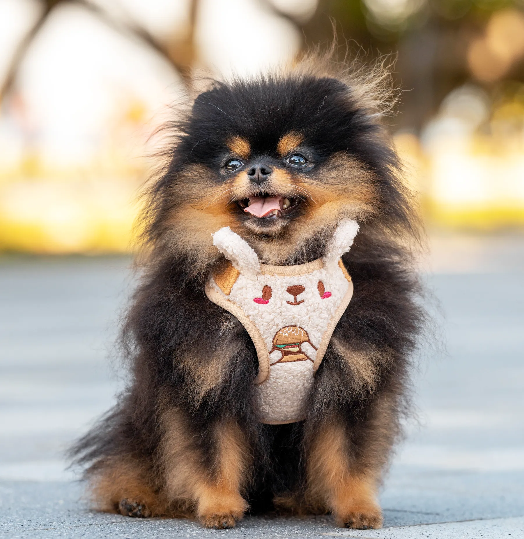 Baga-kuma adjustable harness •ᴥ• ふわふわクマ ✦RARE✦