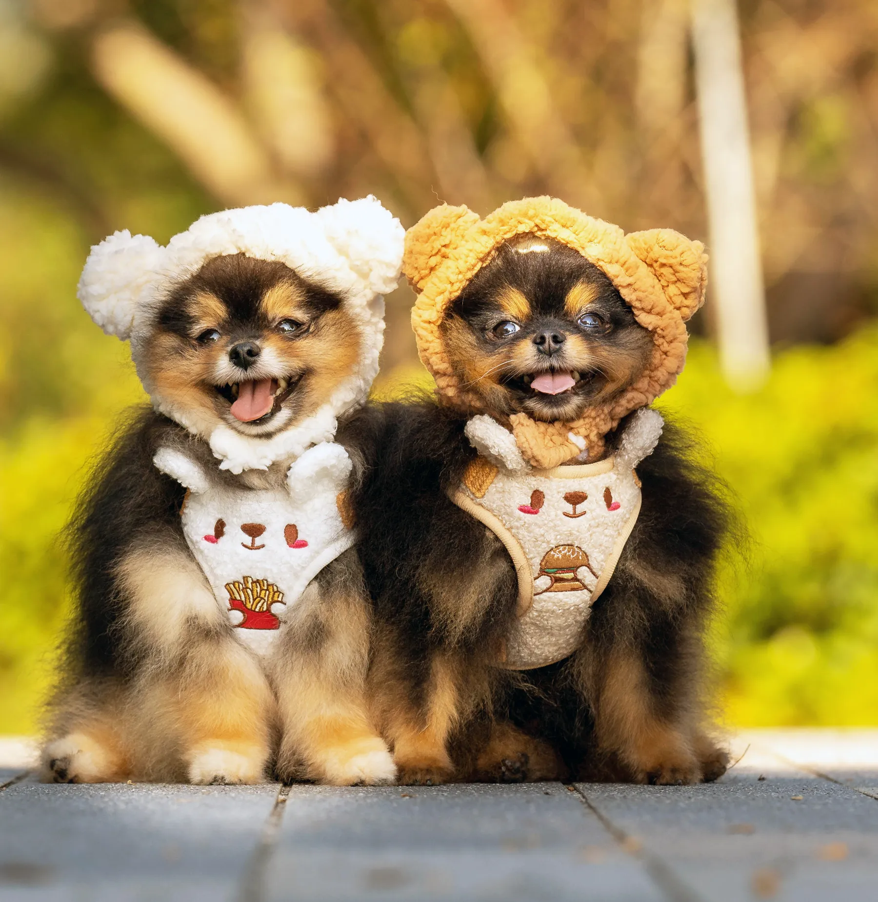 Baga-kuma adjustable harness •ᴥ• ふわふわクマ ✦RARE✦