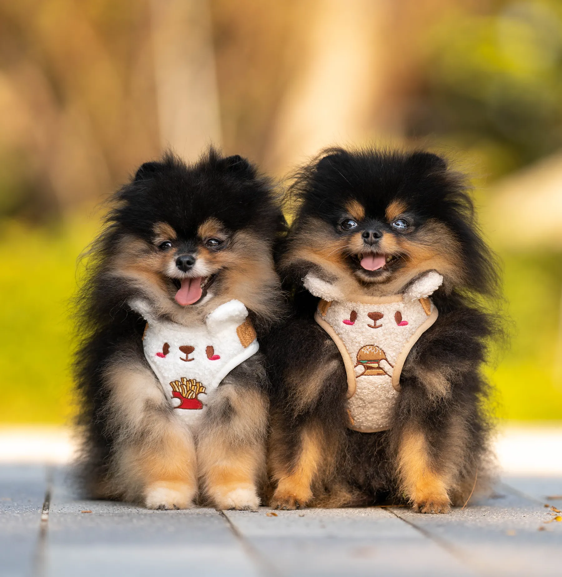 Baga-kuma adjustable harness •ᴥ• ふわふわクマ ✦RARE✦