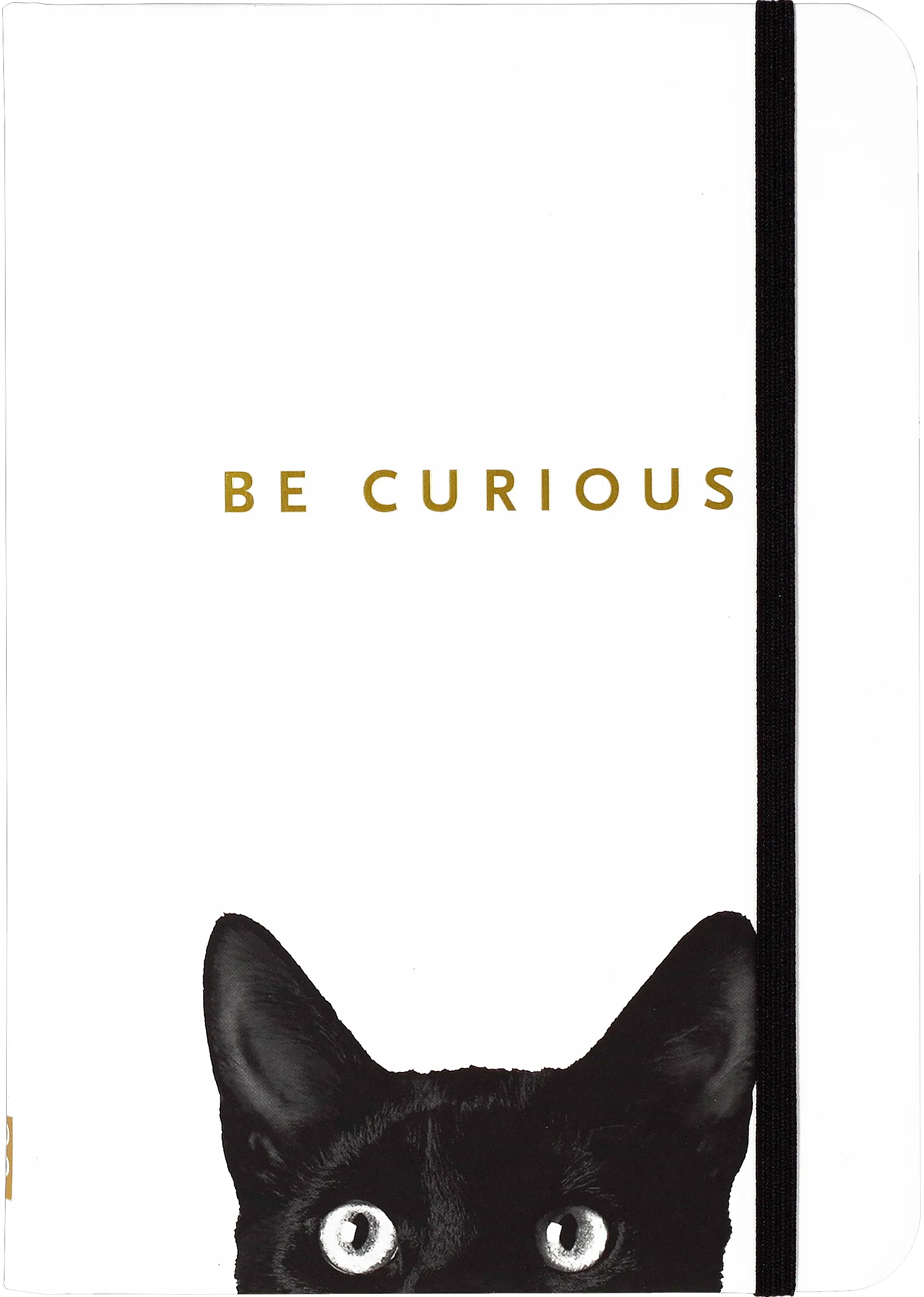 Be Curious Cat Journal