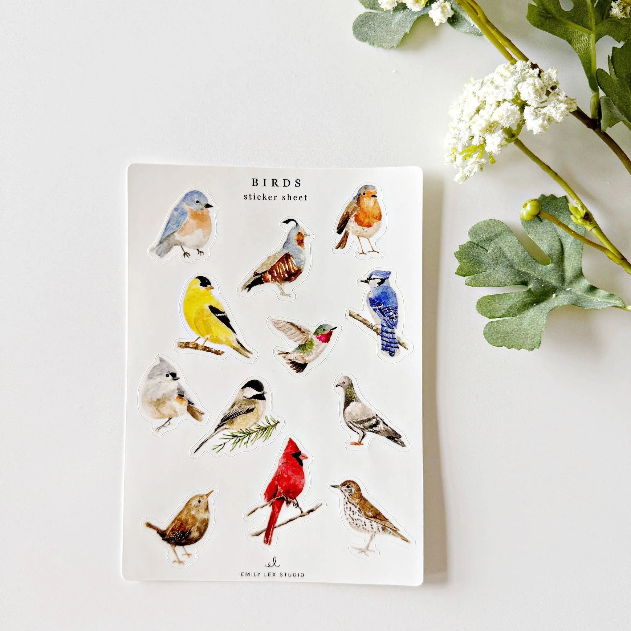 Birds Sticker Sheets by Emily Lex Studio