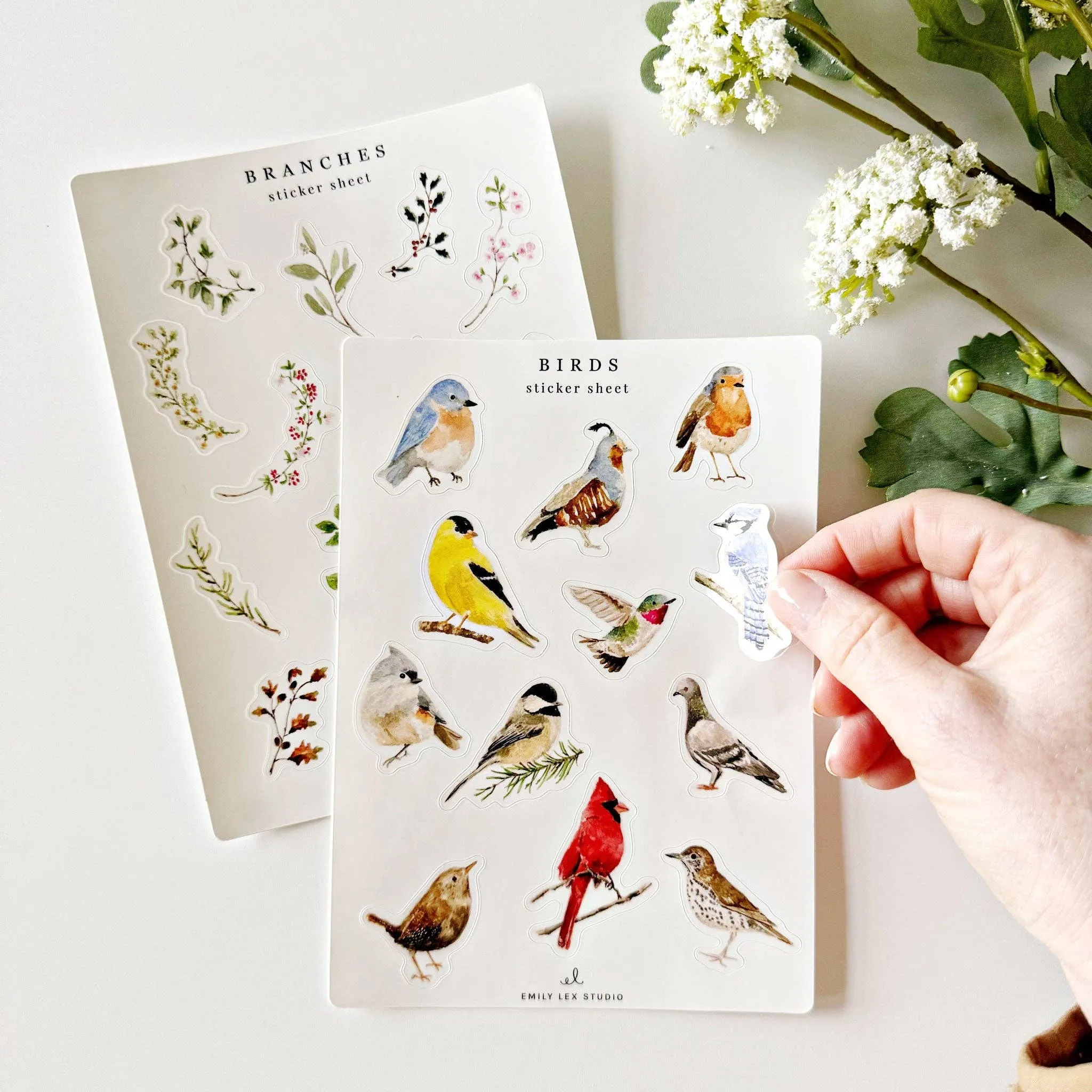 Birds Sticker Sheets by Emily Lex Studio
