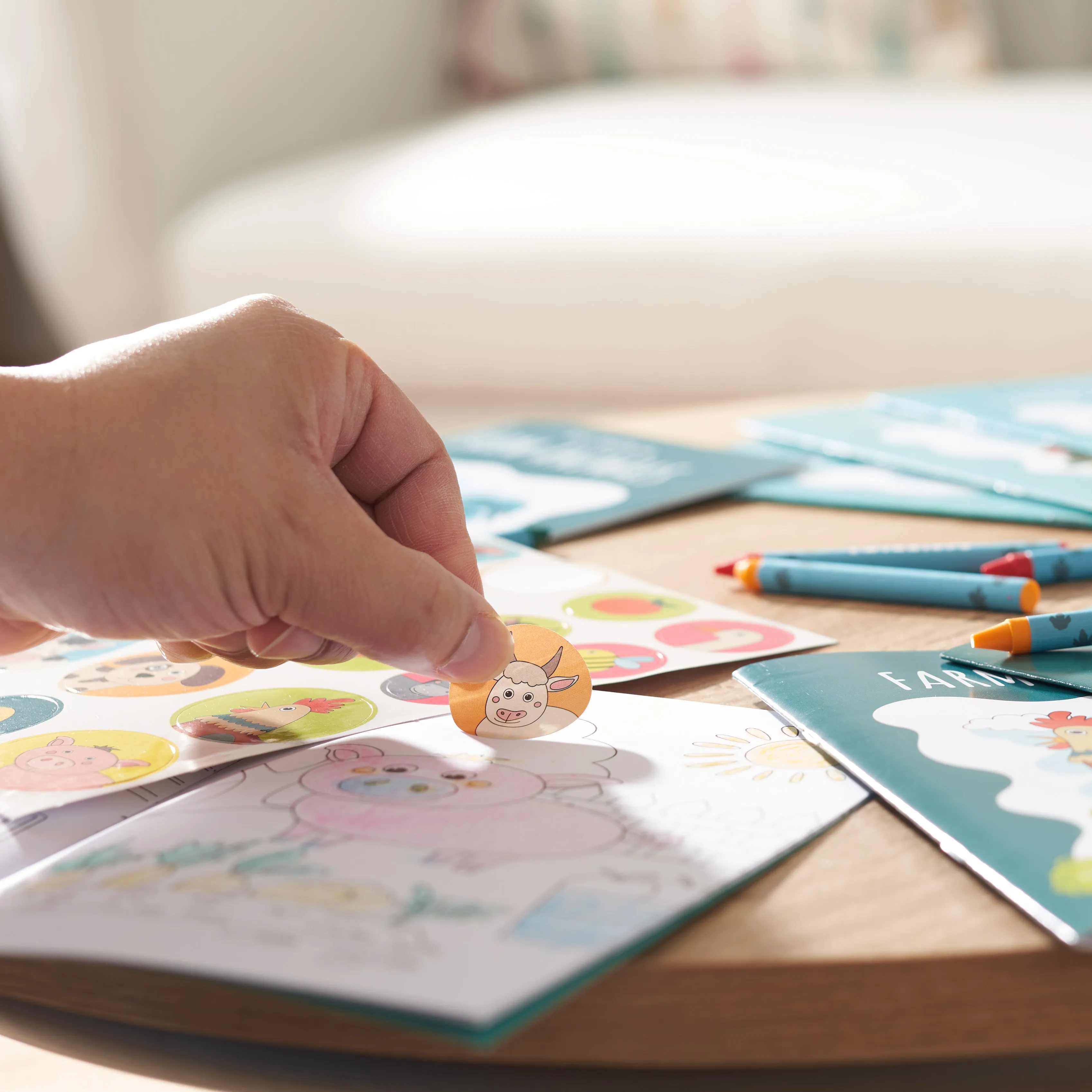 Farm Animals Colouring Books with Crayons & Stickers