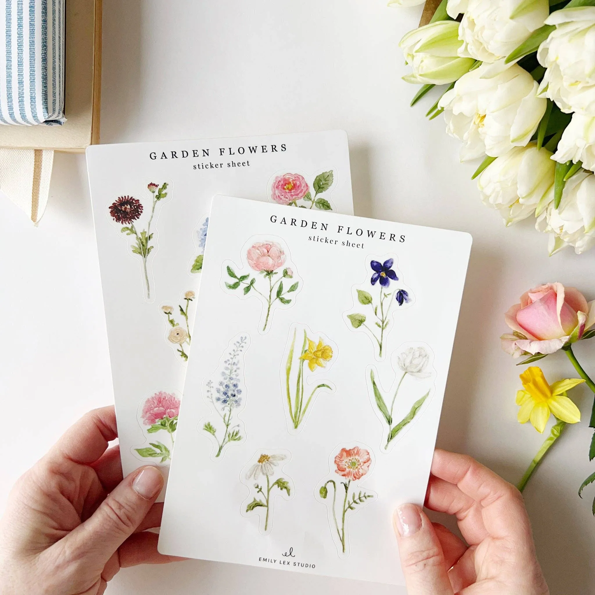 Garden Slowers Sticker Sheets by Emily Lex Studio