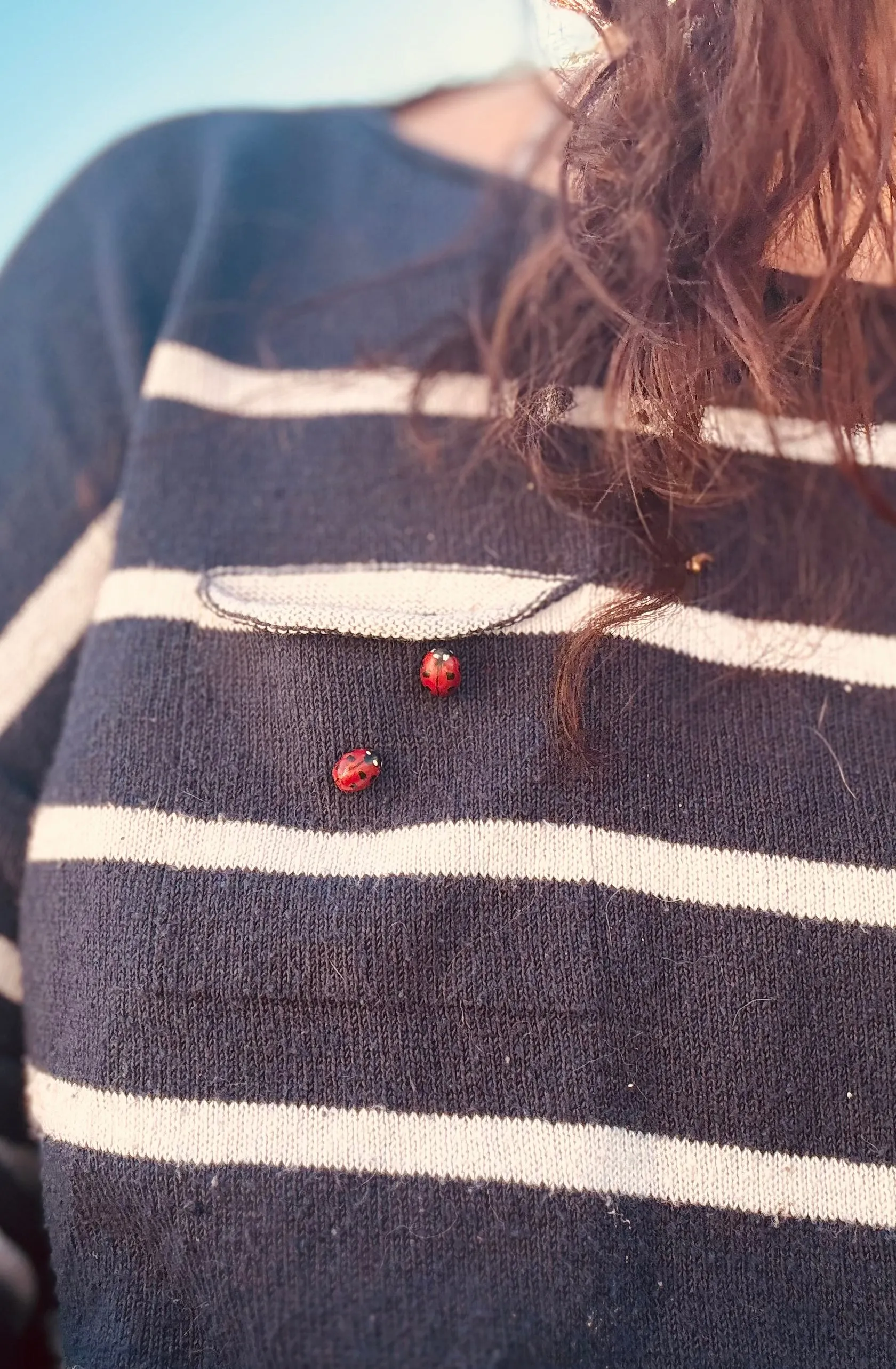 Ladybug pins🐞. Set of 2. ✨Free shipping!