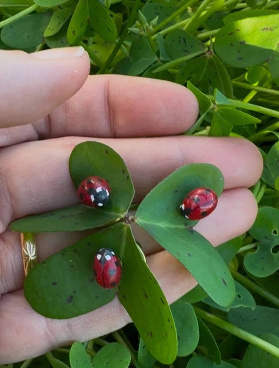 Ladybug pins🐞. Set of 2. ✨Free shipping!
