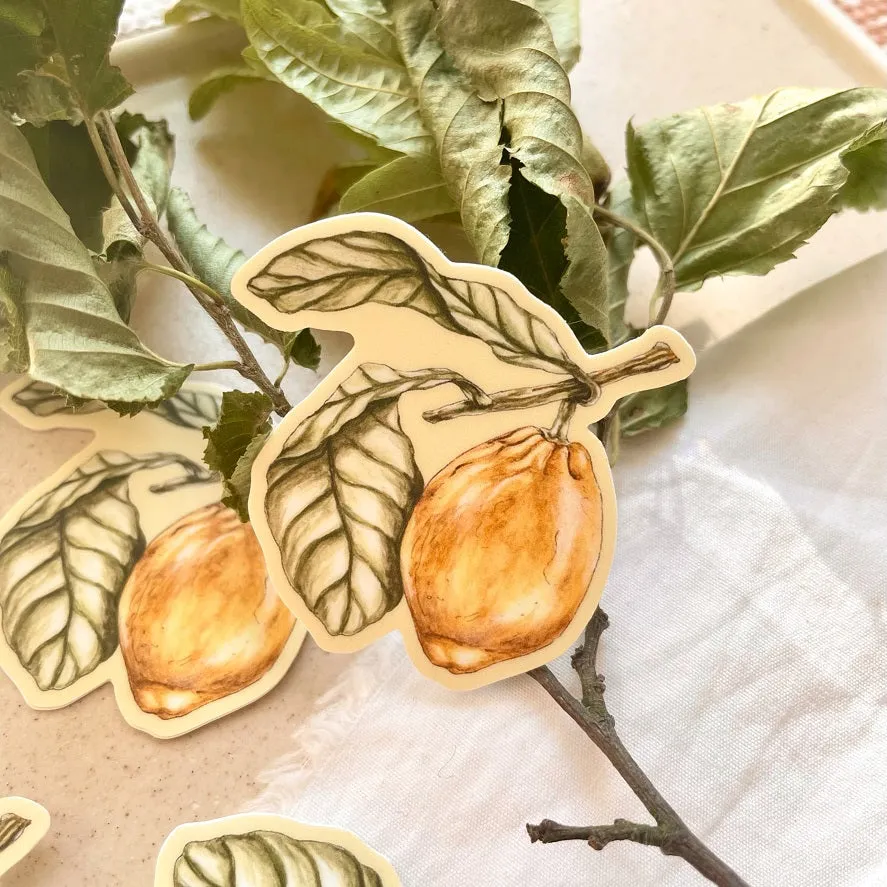 Lemon Branch Vinyl Sticker