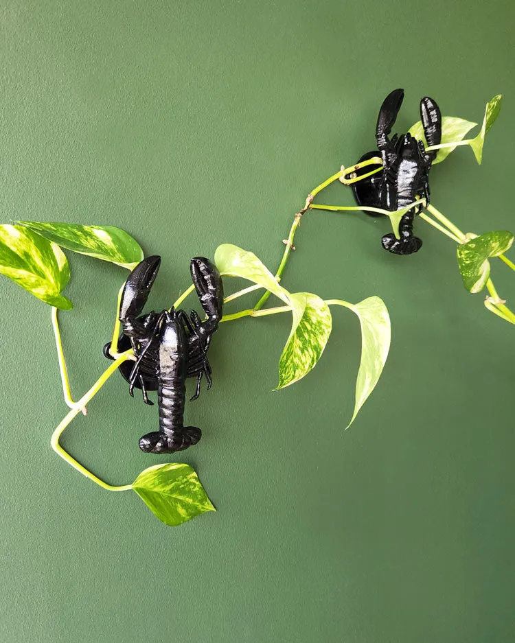 Lobster Wall Hook 🦞