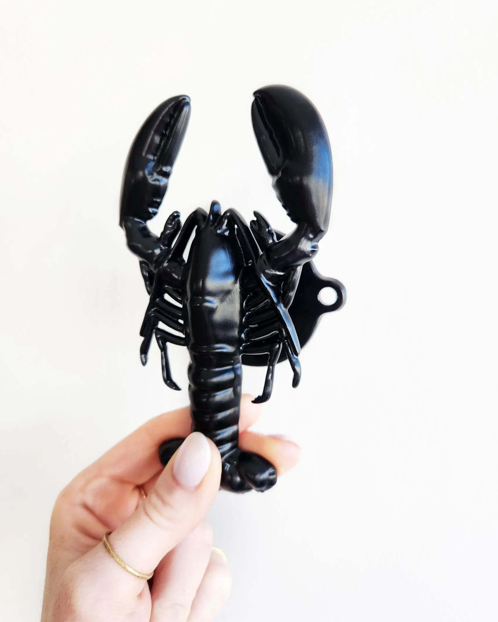 Lobster Wall Hook 🦞
