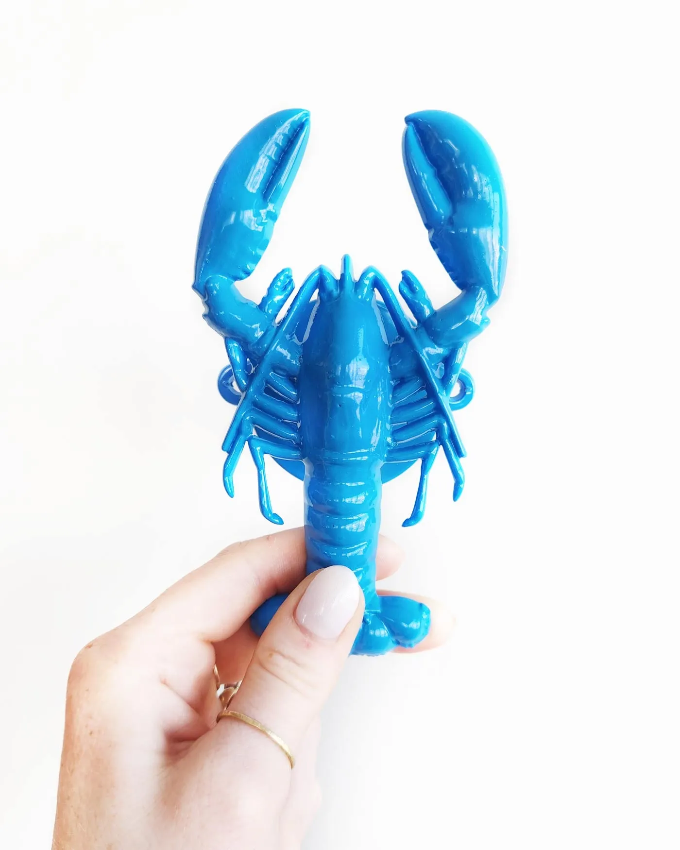 Lobster Wall Hook 🦞