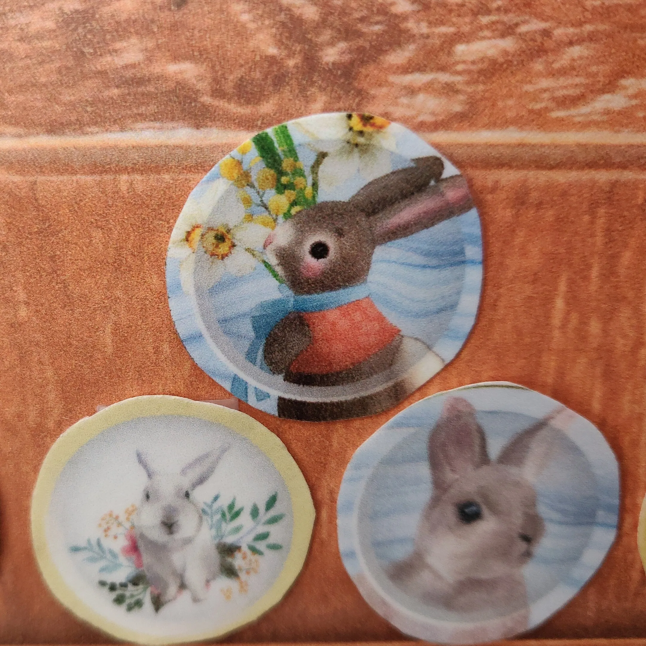 Magical Digital Easter Downloadable Plates, Bags And Bunny Boxes