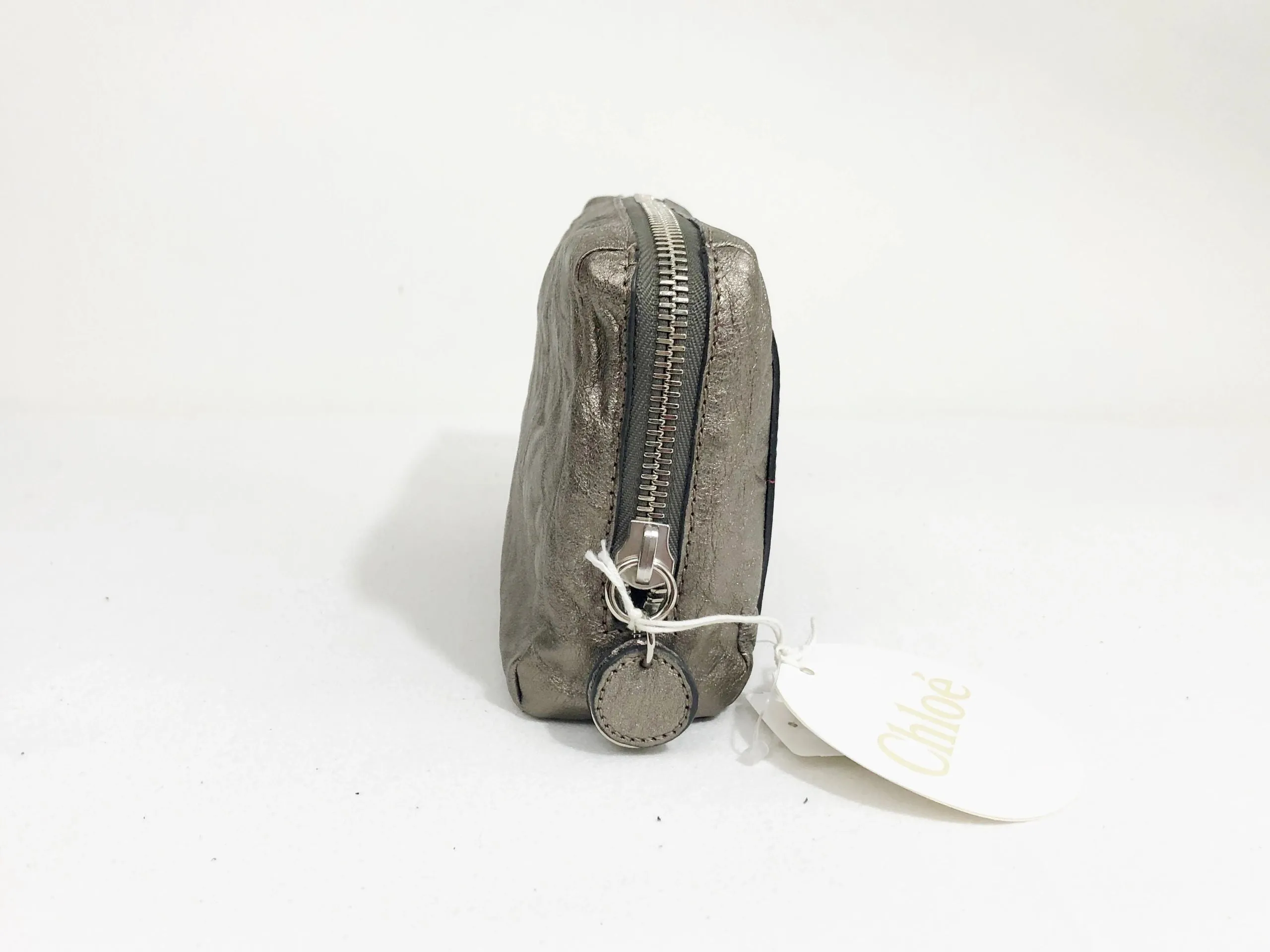 NEW Chloe Metallic Pouch
