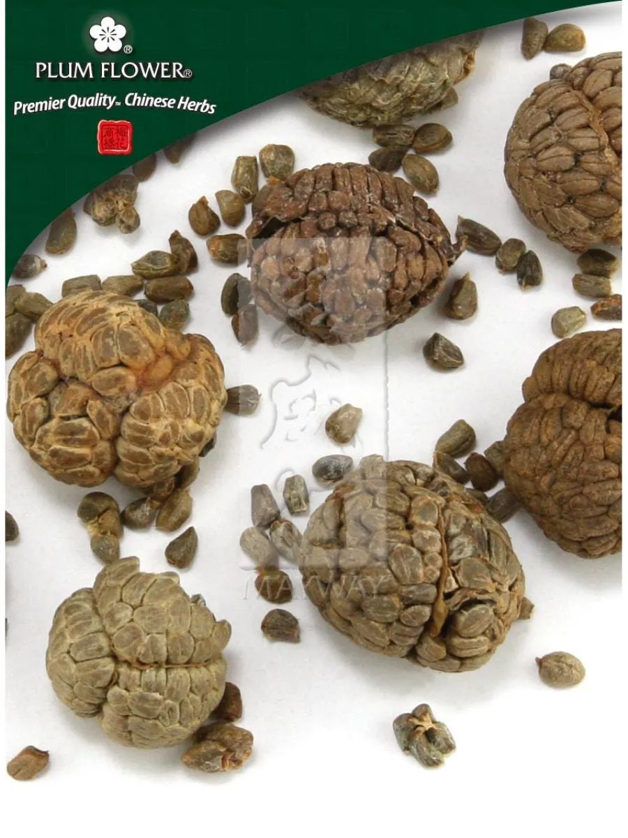 Plum Flower, Cao Dou Kou, Alpinia katsumadai seed, Whole Herb, 500 grams