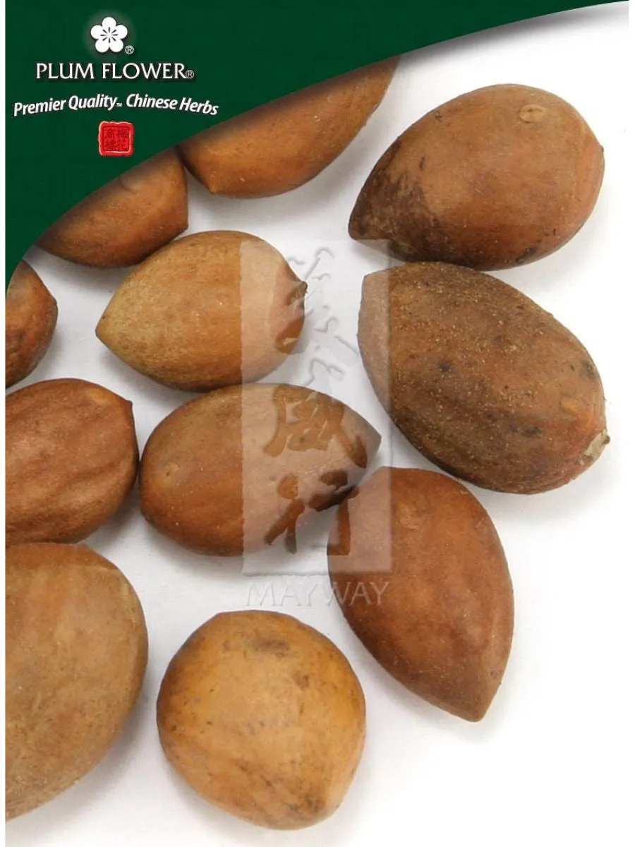 Plum Flower, Fei Zi, Torreya grandis seed, Whole Herb, 500 grams