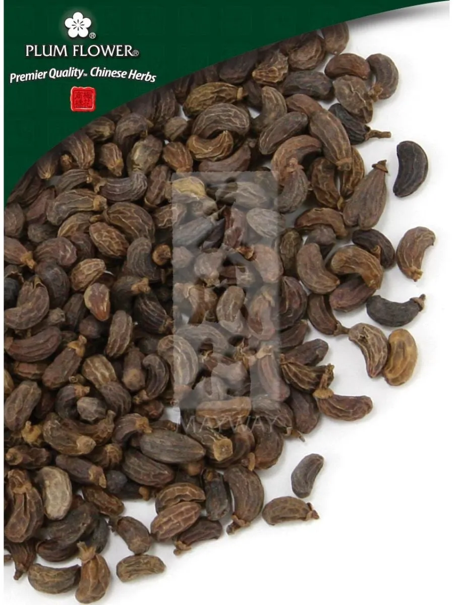 Plum Flower, Nu Zhen Zi, Ligustrum lucidum fruit, Whole Herb, 500 grams