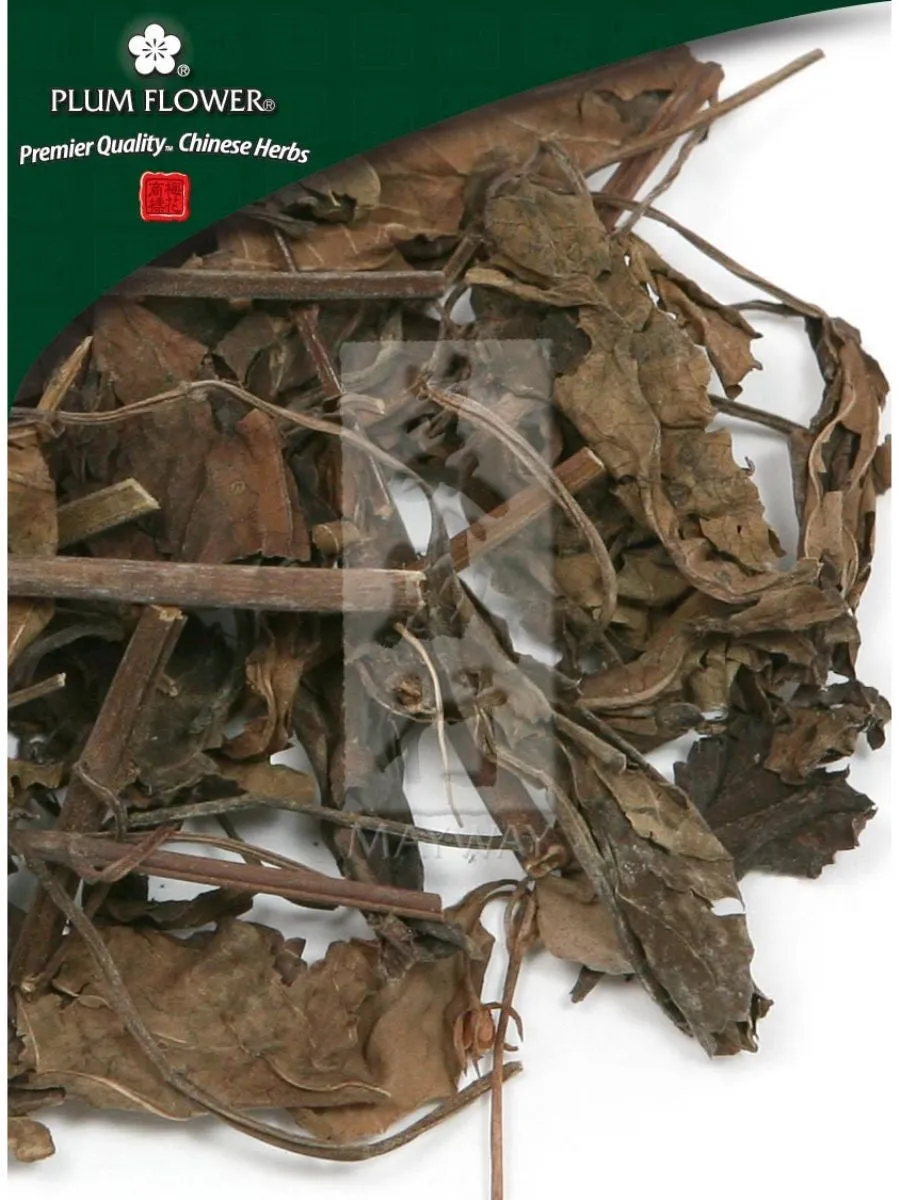 Plum Flower, Shi Jian Chuan, Salvia chinensis herb, Whole Herb, 250 grams