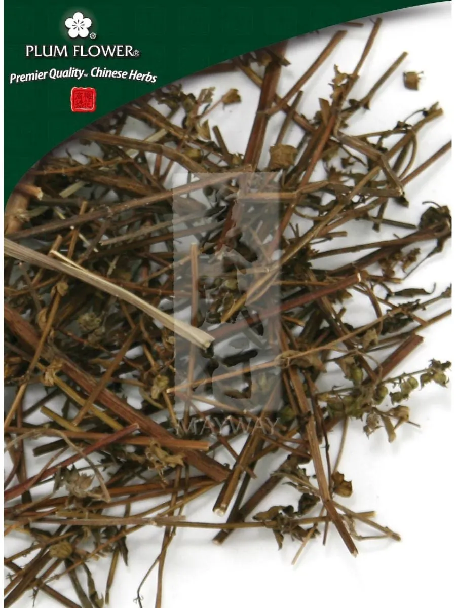 Plum Flower, Xiang Ru Cao, Elsholtzia splendens herb, Whole Herb, 500 grams