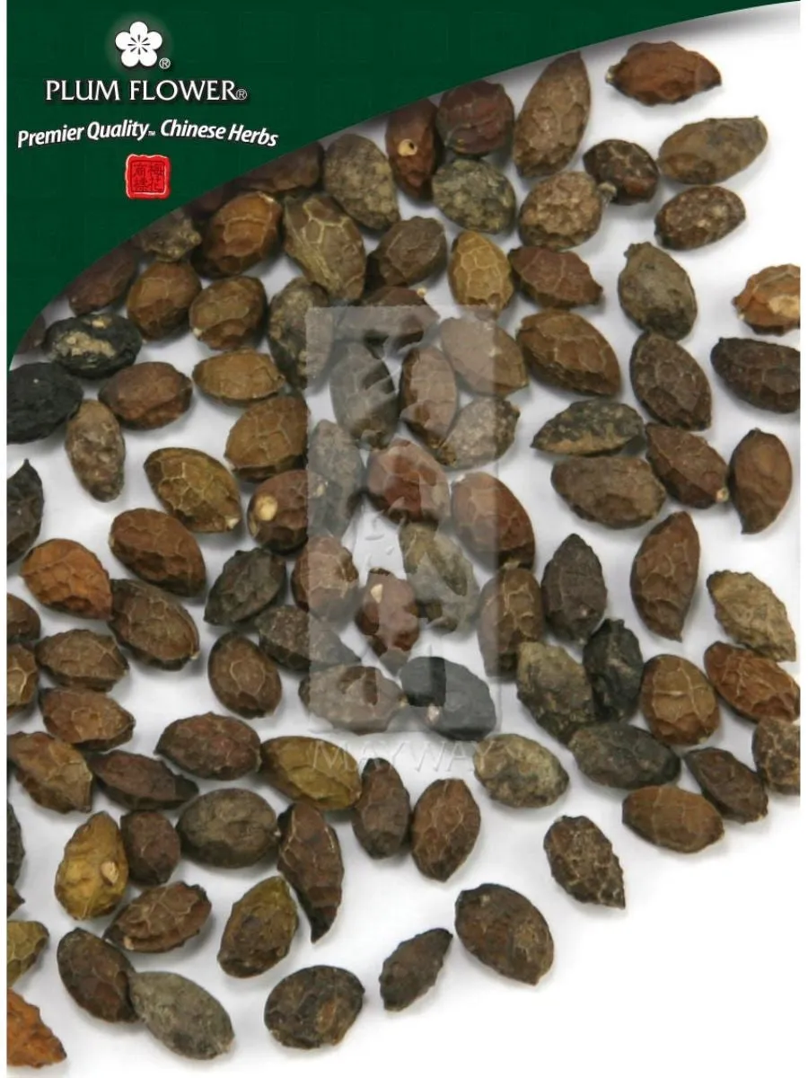 Plum Flower, Ya Dan Zi, Brucea javanica fruit, Whole Herb, 500 grams