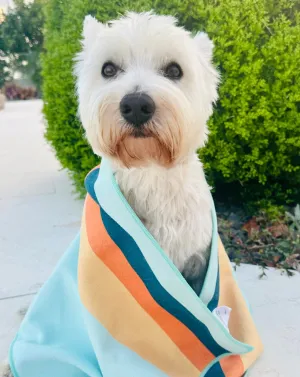 The Dog MINI HIPSTER