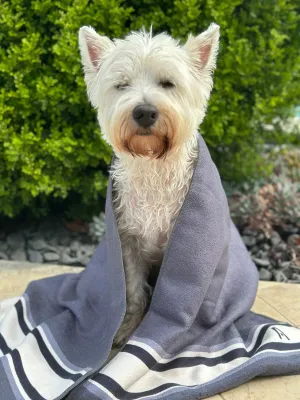 The MINI Dog Towel ALLOY