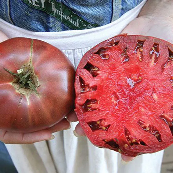 Tomato Cherokee Purple Seeds