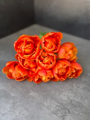 Tulip-Icoon