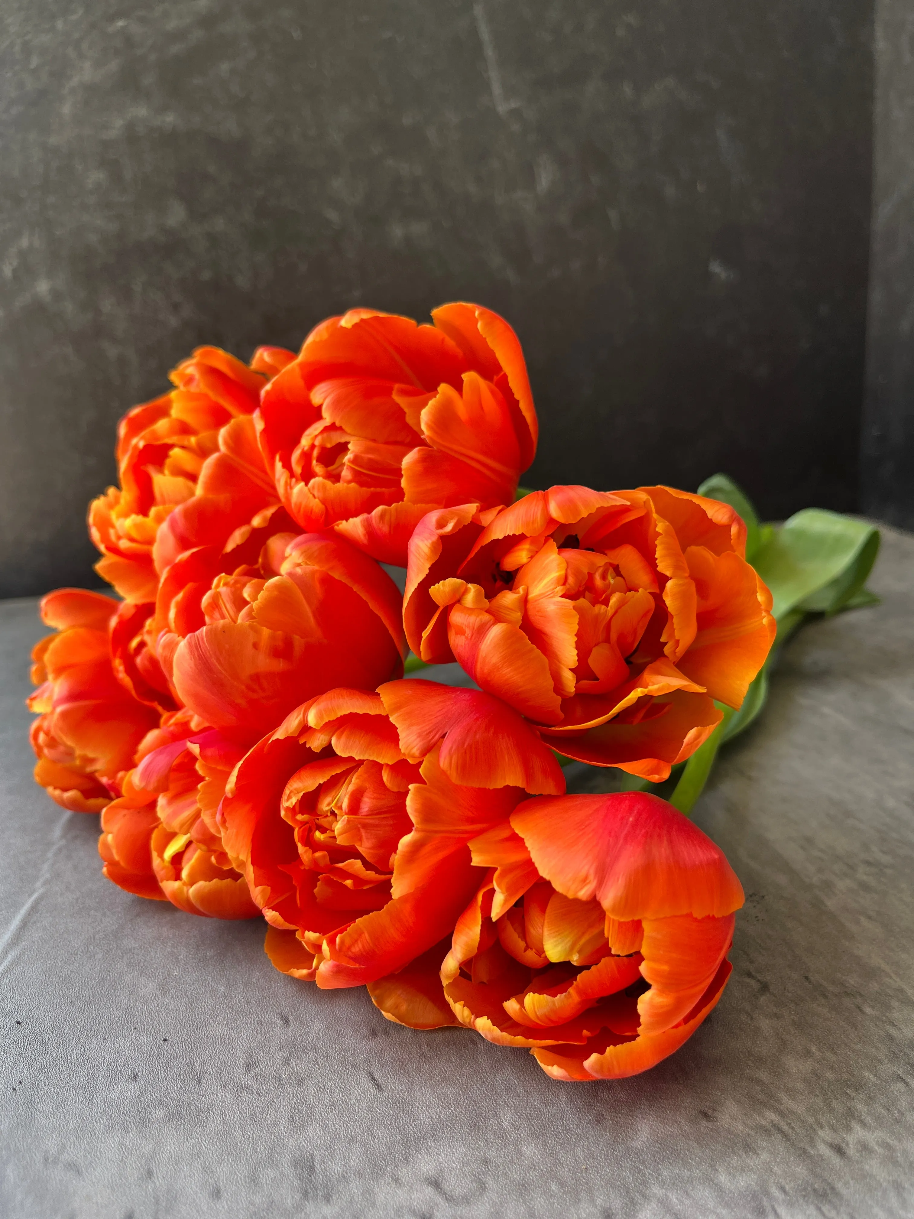 Tulip-Icoon
