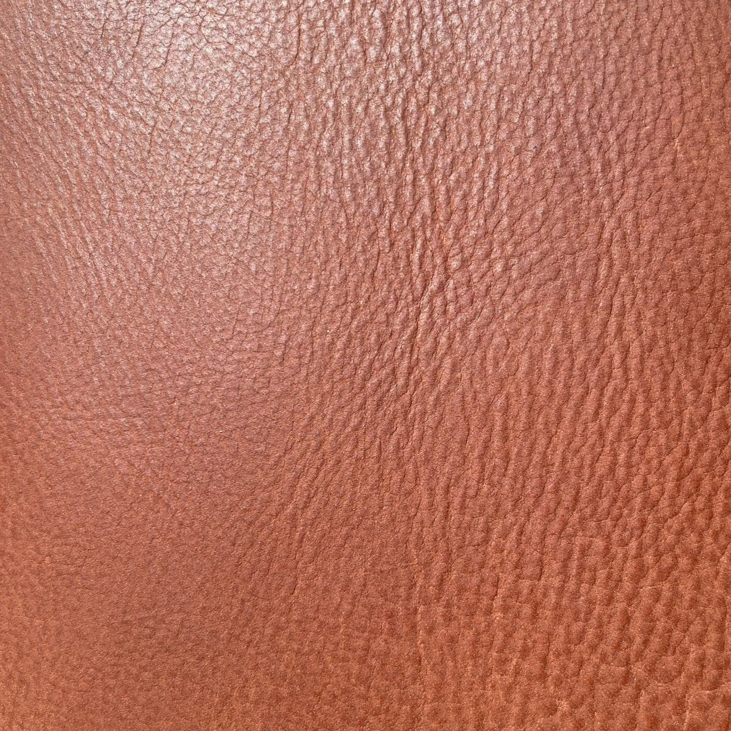Wild West Buffalo Belting | Cherry | 3.8 mm | 8 sq.ft From $125 ea.